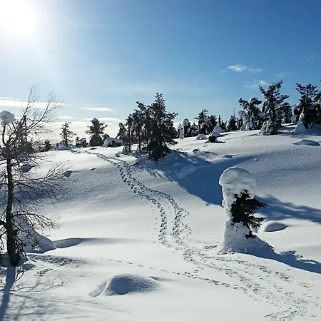 Auberge de jeunesse Sivakka