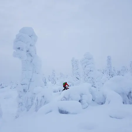 Sivakka